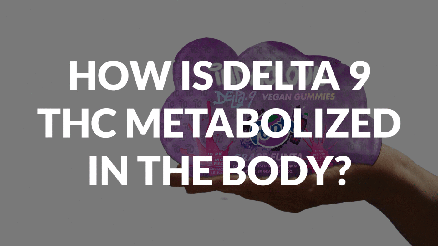 How Is Delta 9 Thc Metabolized In The Body? 3 How Is Delta 9 Thc Metabolized In The Body?