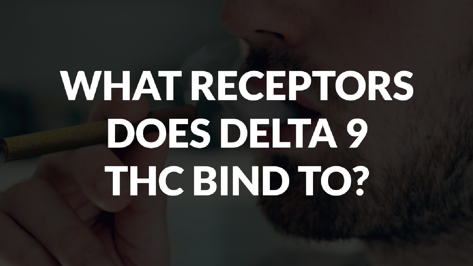 What Receptors Does Delta 9 Thc Bind To? 2 What Receptors Does Delta 9 Thc Bind To?