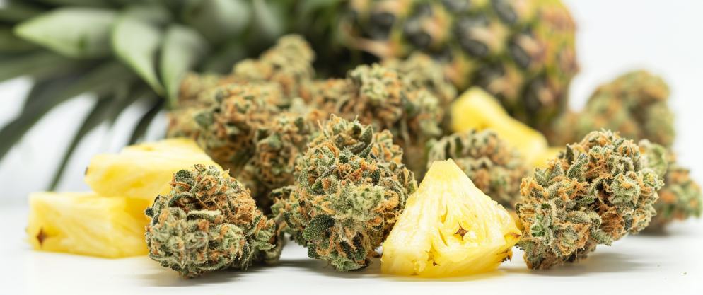 Can Delta 8 Be Mixed With Food? Read This Before You Do So! 5 Can Delta 8 Be Mixed With Food