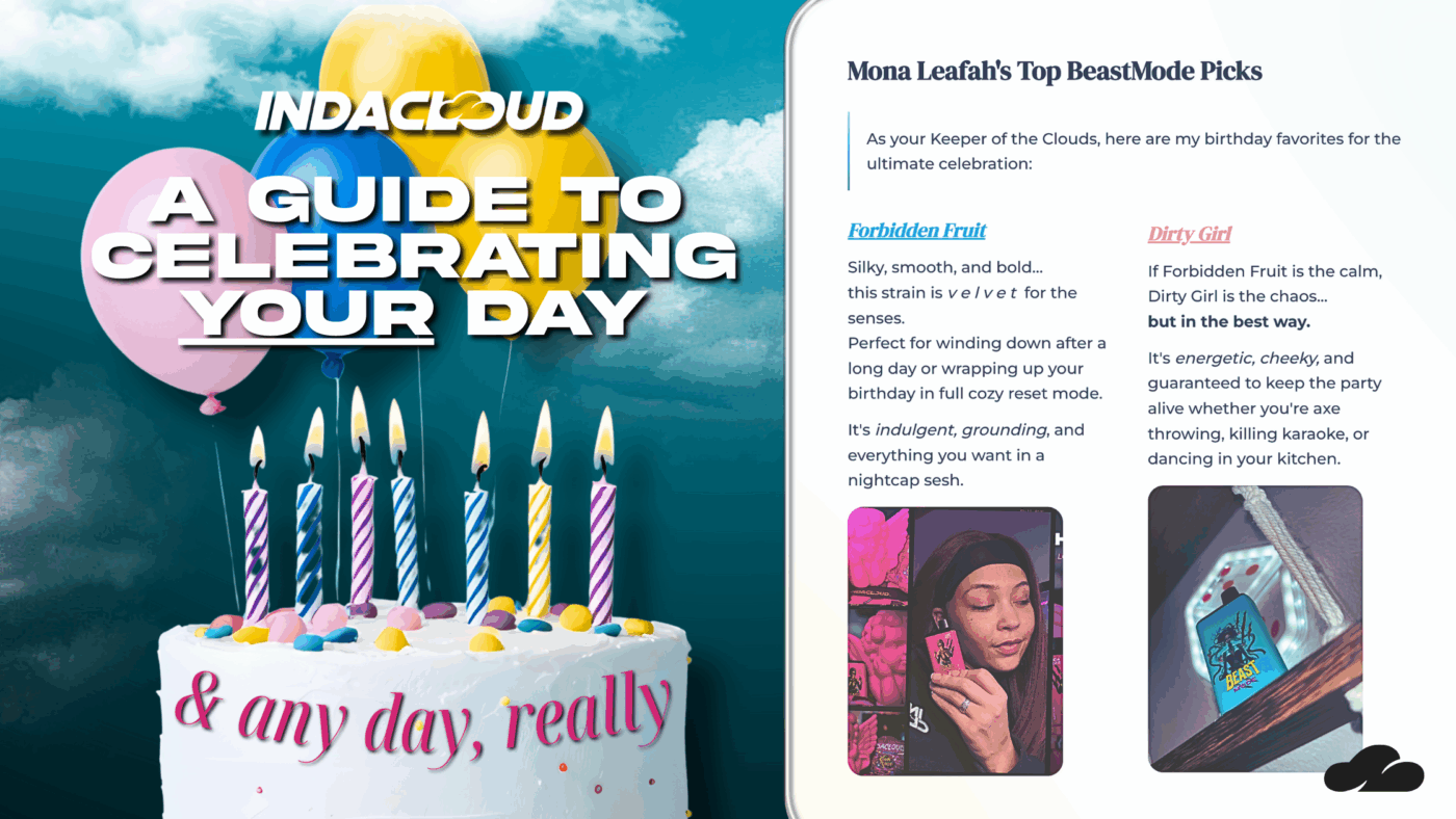 Mona’s Birthday Goes Beastmode | A Guide To Celebrating Any Day 6 3 Activities To Celebrate Your Day