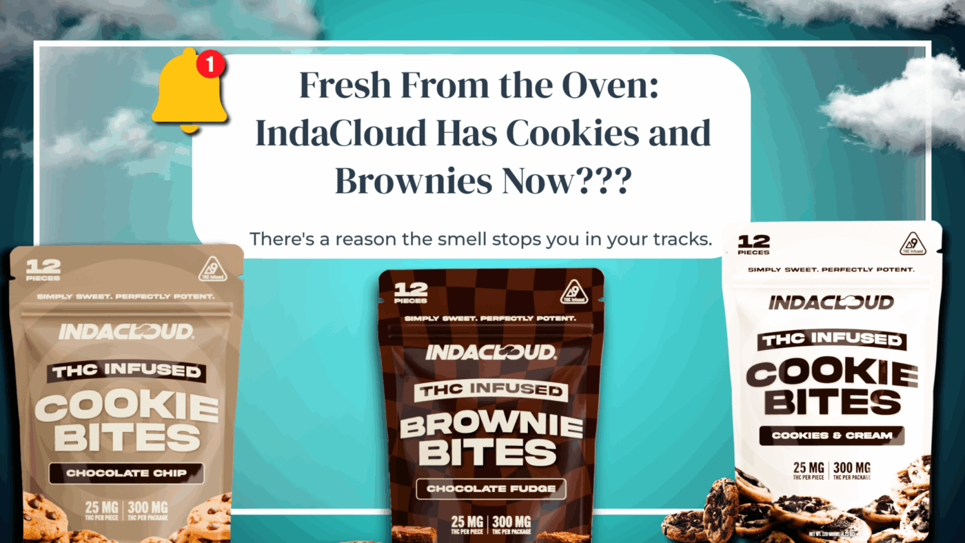 Fresh From The Oven: Indacloud Has Cookies And Brownies Now??? 5 Cookies And Brownies Launch